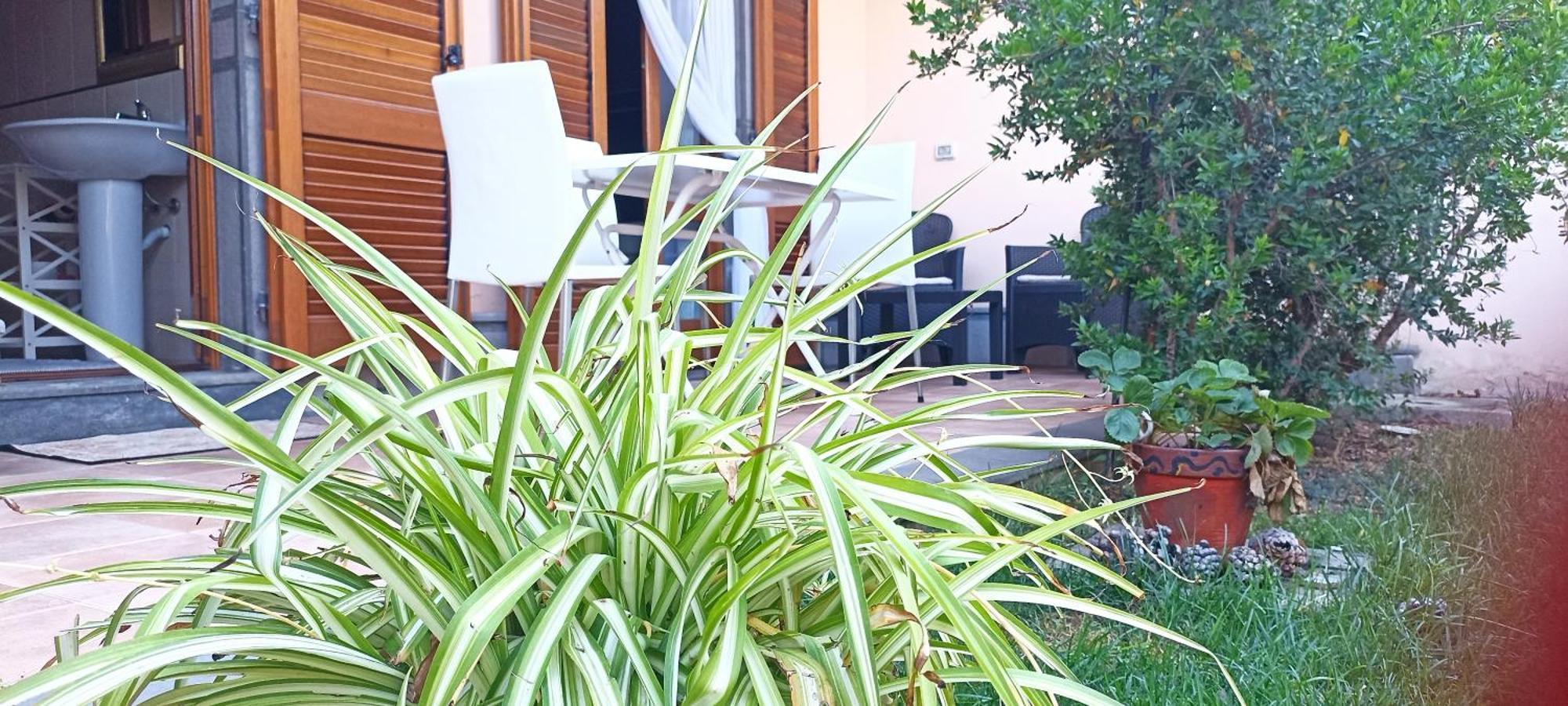 Casa Lilla 1 E 2 Apartment Oristano Luaran gambar